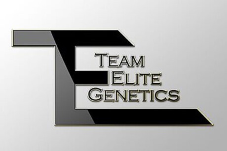 Take $10.00 off all Team Elite Genetic concentrate Banner