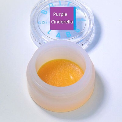purpcinjelly