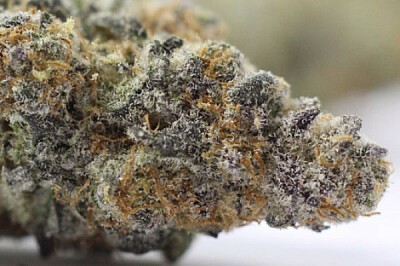 BLUE COOKIES