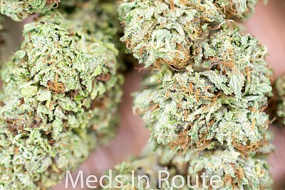 Jack Herer Medical Marijuana Delivery San Diego Meds In Route 1440x957