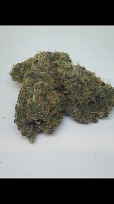 AP_Nug Pic