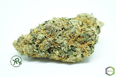 strawberry tahoe 3