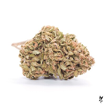 Cherry x Chem Dawg_Angry Bunny Ranch_Wholesale_Square