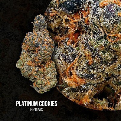 Platinum cookies