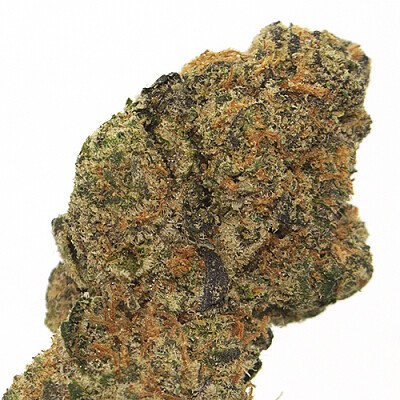 Plat GSC SS