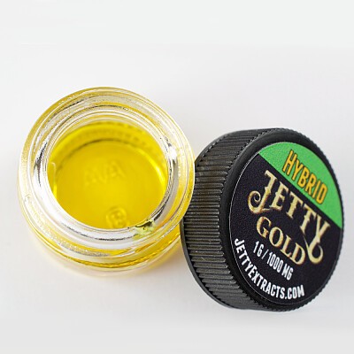 Jetty gold - Hybrid