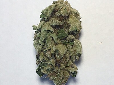 girl scout cookie 1