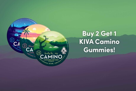 Buy 2 Get 1 Camino Gummies! Banner