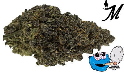 Cookie monster 415 pie candy