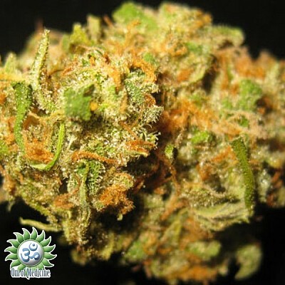 green-crack (1)