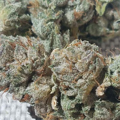 WHITE HOUSE OG