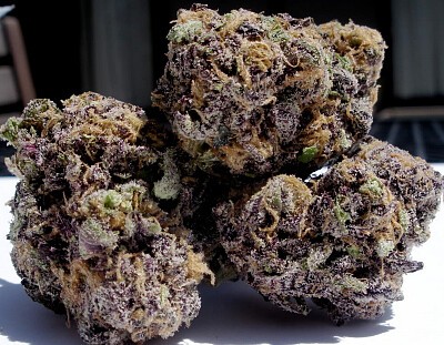 granddaddypurple