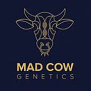 Mad Cow Genetics