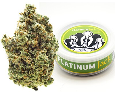 platinumjack_budcan (1)