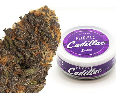 purplecadillac_budcan (1)