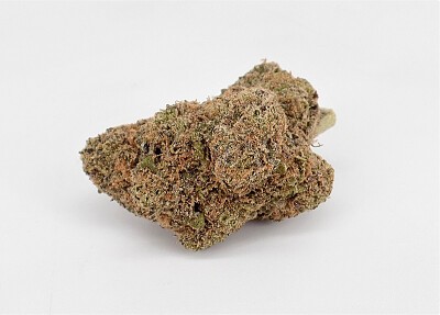 Grand Daddy Purple - Florical