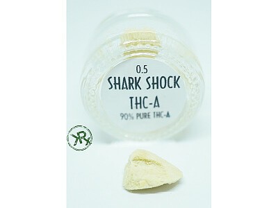 shark shock thca final 2