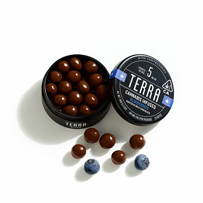 terra blueberries
