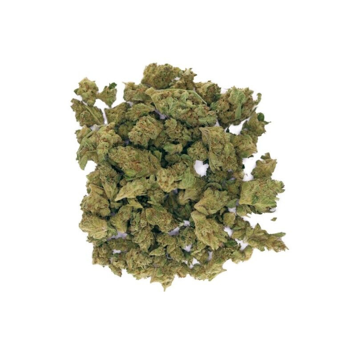 Dreamer's Glass Weed Strain Review and Information