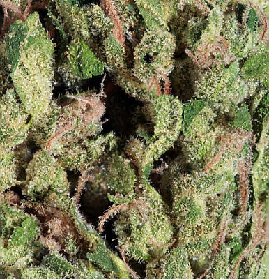 fire og