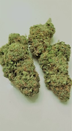 (INSANE DEAL)- AMNESIA LEMON -  $160 AN OUNCE (while supplies last!) Banner