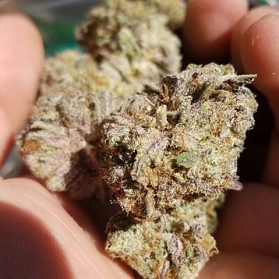 platinum-blackberry