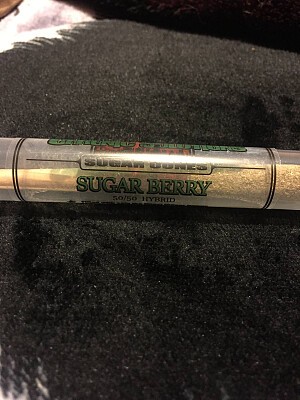 sugar berry