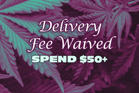 Spend $50+ and Get the Delivery Fee Waived! Banner