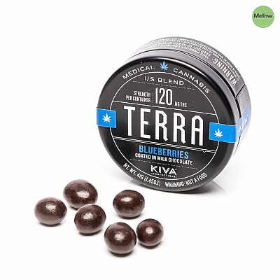 Kiva-Terra-Blueberries-9836