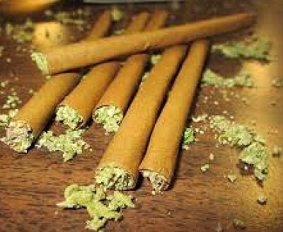 Blunt Pic