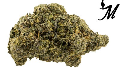 white sunset sherb x sfv