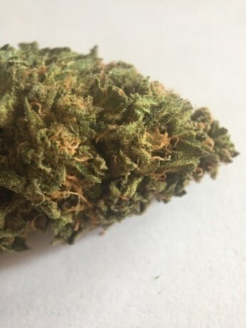 $99 GSC Oz from Cali Xpress! Banner