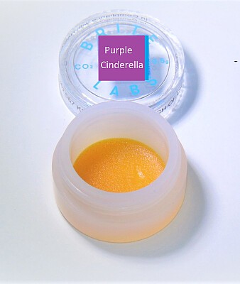 Purple Cinderella Jelly Wax