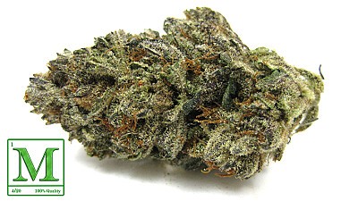 Purple Kush