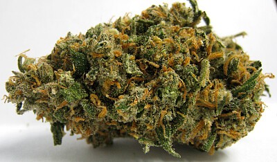 Green_Crack