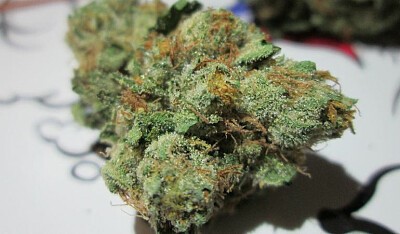 4053087_dizzy_20og