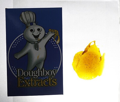Douboy extracts wax 