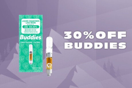 30% Off Buddies! Banner