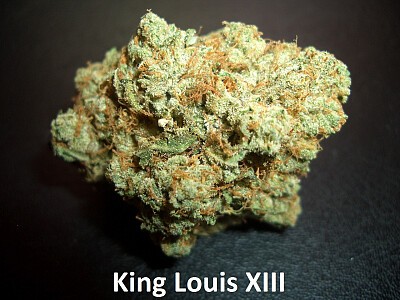 King Louis XIII 1