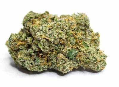 Strain Review