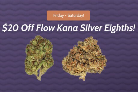 $20 Off Flow Kana Silver Eighths Banner
