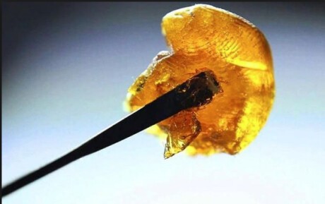 40% Off Concentrates! Banner