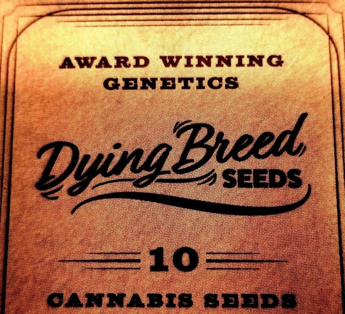 Buy 3rd Gen Family Farms / Dying Breed Seeds Sour Zkittlez ( V.S