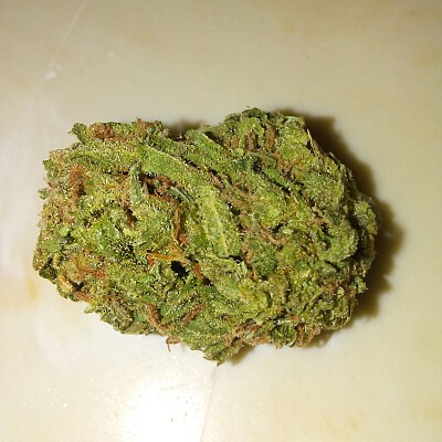 green crack x sour d x cheese1