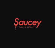 Saucey