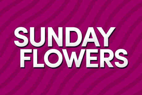 Sunday Flowers! $10 off any Flower Purchase over $65 Banner