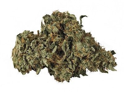 lemon burst