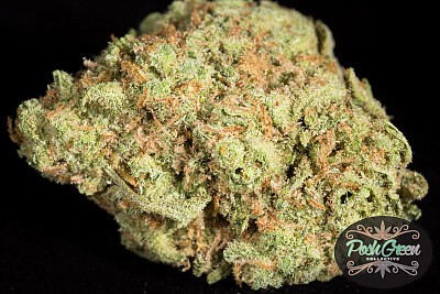 Candy-Jack
