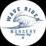 Wave Rider Nursery