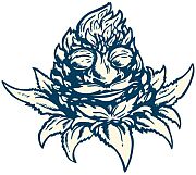 Cypress Cannabis